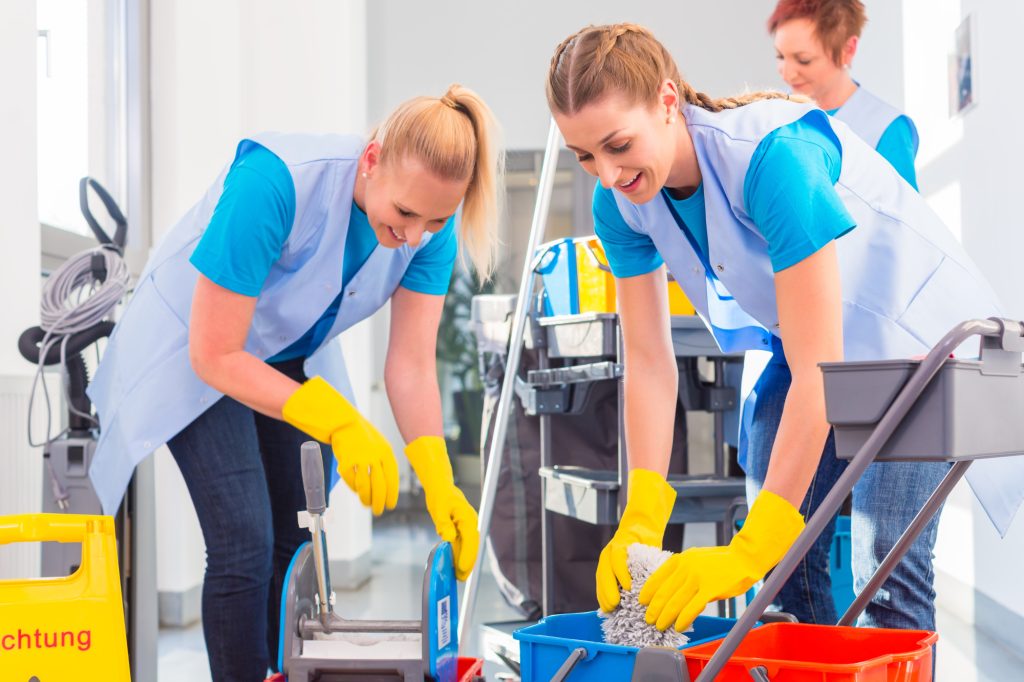Cleaning Professionals at Emploviders
